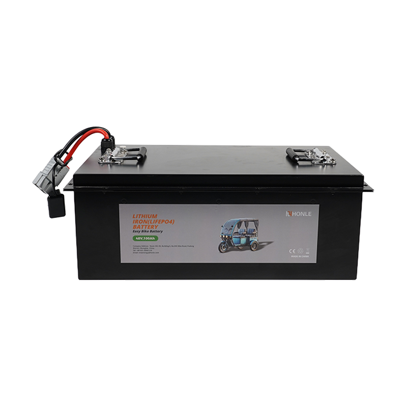 48V 100Ah Lithium Battery Pack for Low-Speed Electric Vehicles