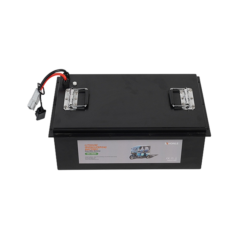 48V 100Ah Lithium Battery Pack for Low-Speed Electric Vehicles